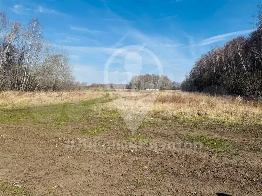 Участок 9,5 сот. (ИЖС) - Фото 1