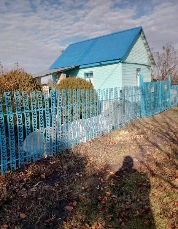 Дом в Воронежская область, Воронеж Березка СНТ, 10-я линия, 445 (28 м) - Фото 2