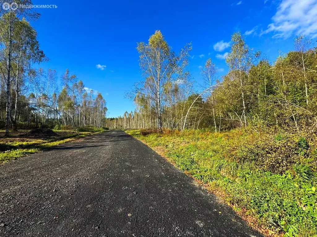 Участок в Московская область, Дмитровский муниципальный округ, КП ... - Фото 2