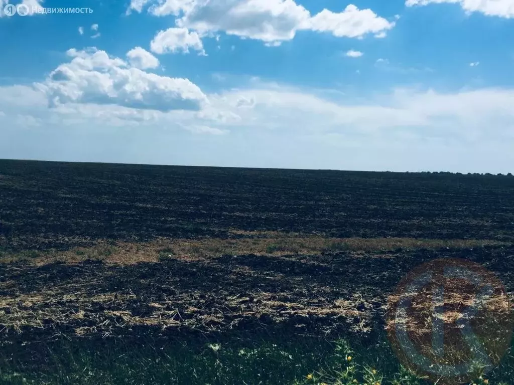 Участок в Сакский район, село Веселовка (200 м) - Фото 2