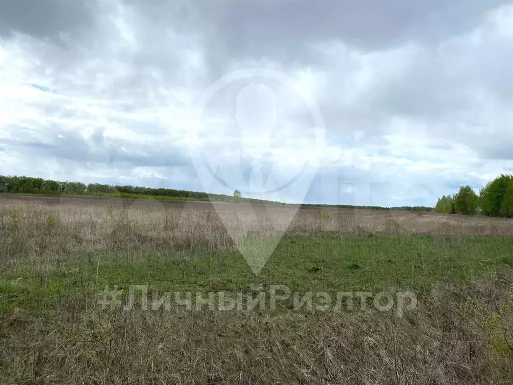 Участок 100 сот. (СНТ, ДНП) - Фото 1