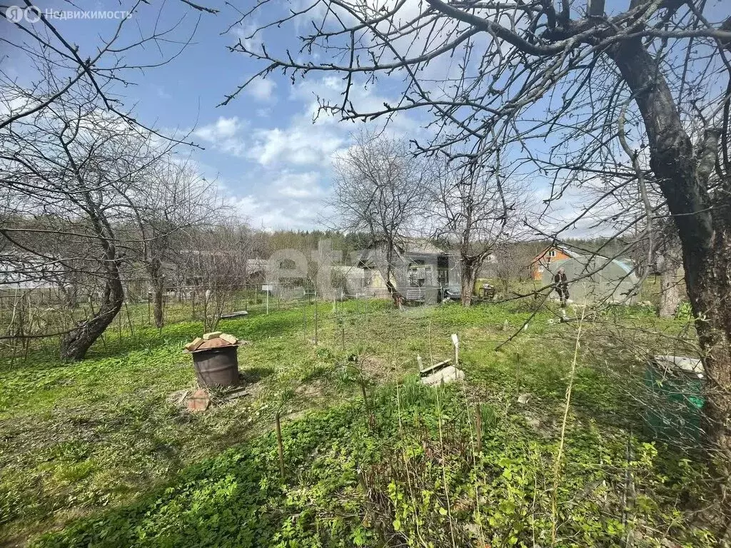 Участок в Кострома, СТ Красинец (6.6 м) - Фото 2