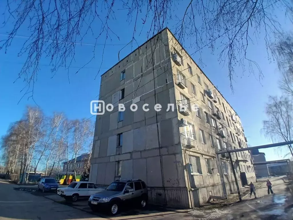 1-к кв. Рязанская область, Рыбновский район, д. Баграмово 13 (21.0 м) - Фото 0
