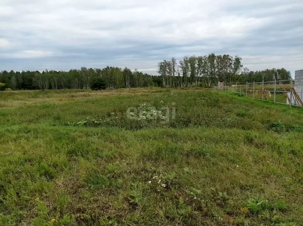 Участок в Омская область, Омский район, с. Красноярка ул. Ленина (10.0 ... - Фото 1