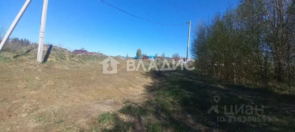 Участок в Вологодская область, д. Ильинское (Октябрьский сельсовет) ... - Фото 1