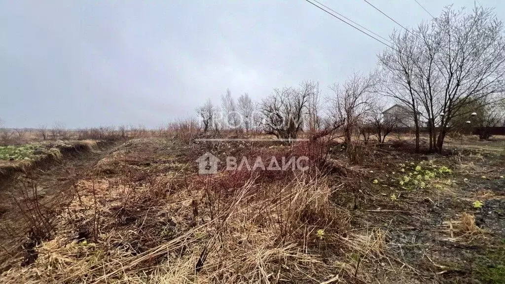 Участок в Сахалинская область, Анивский городской округ, с. Троицкое ... - Фото 1