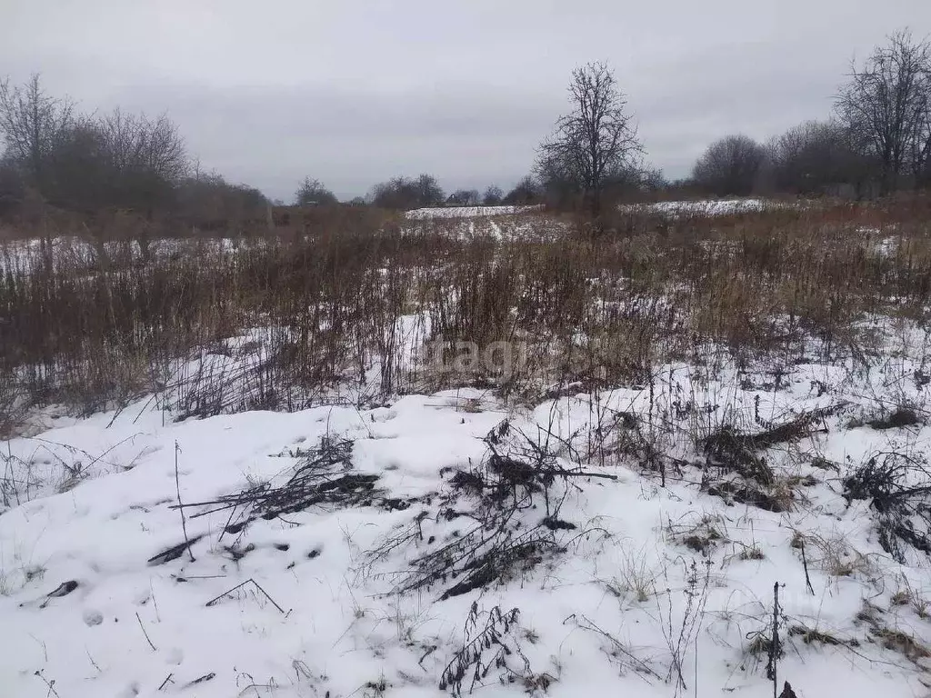 Участок в Брянская область, Брянский район, Добрунское с/пос, Полет ... - Фото 2