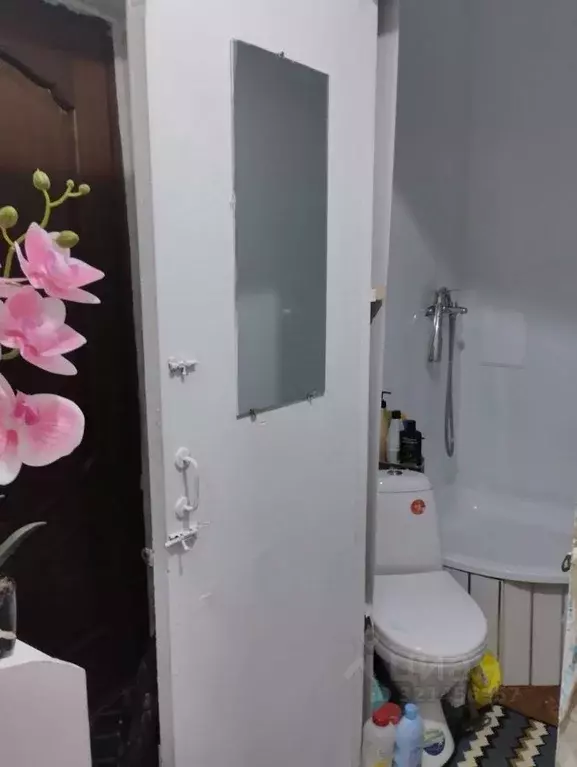 1-к кв. Краснодарский край, Анапа Крымская ул., 218 (22.0 м) - Фото 2