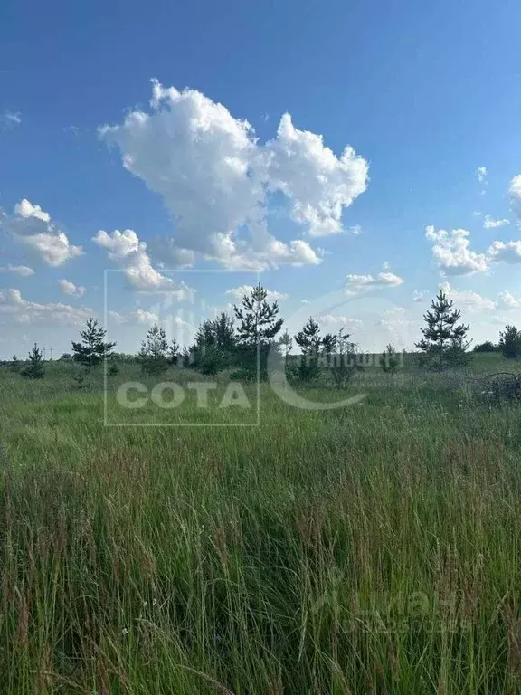 Участок в Воронежская область, Верхнехавский район, Парижскокоммунское ... - Фото 2