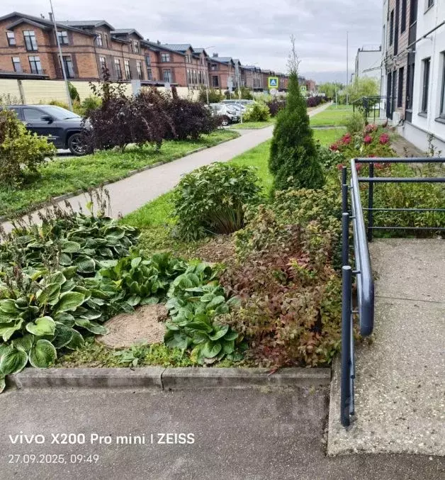 1-к кв. Московская область, Истра муниципальный округ, д. Красный ... - Фото 2