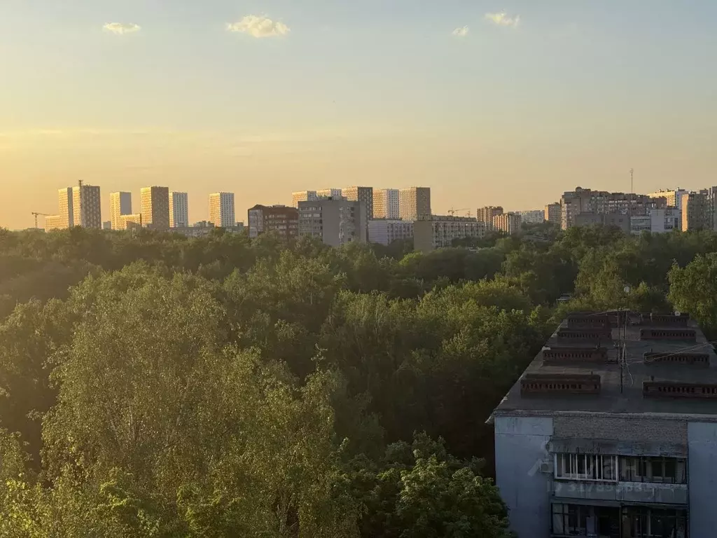 3-к кв. Московская область, Люберцы ул. Митрофанова, 2 (58.0 м) - Фото 1