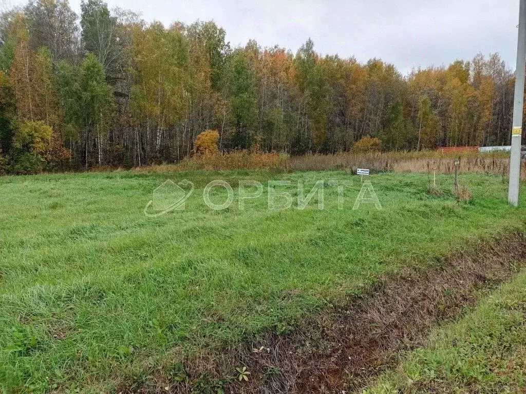 Участок в Тюменская область, Тюменский муниципальный округ, с. Кулига  ... - Фото 1