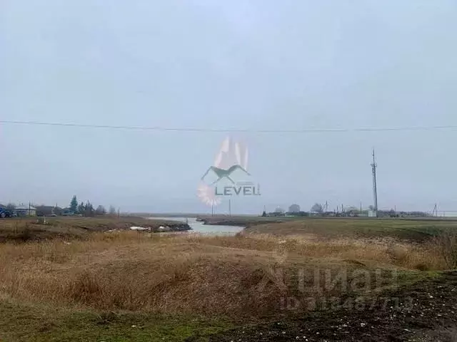 Участок в Саратовская область, Балашовский район, Барковское ... - Фото 1