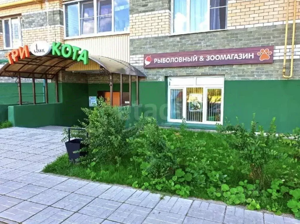 Помещение свободного назначения в Калужская область, Бабынинский ... - Фото 1