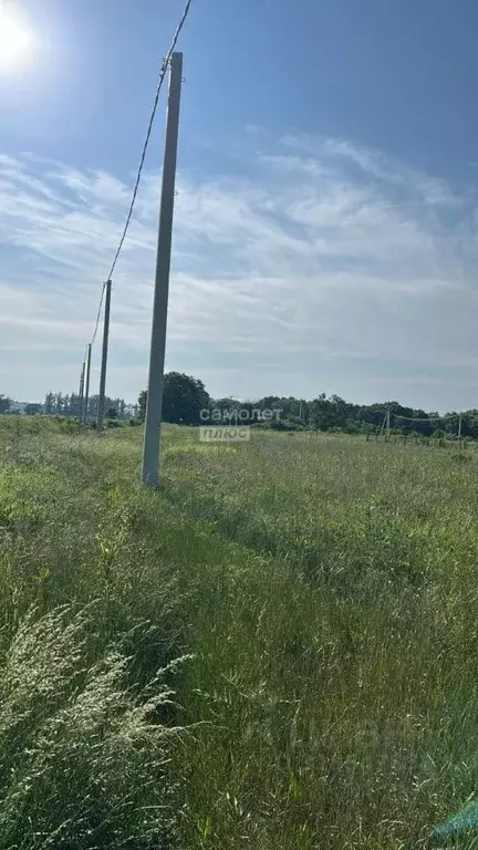 Участок в Краснодарский край, Новороссийск городской округ, ... - Фото 0