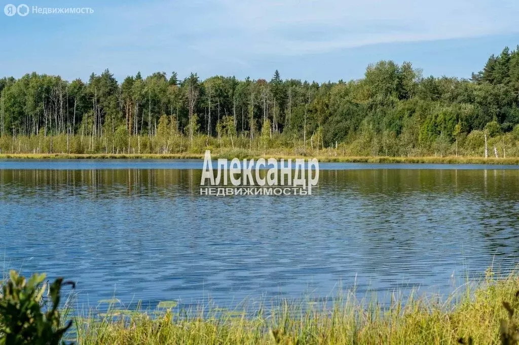 Участок в Лесколовское сельское поселение, коттеджный посёлок Левада ... - Фото 0