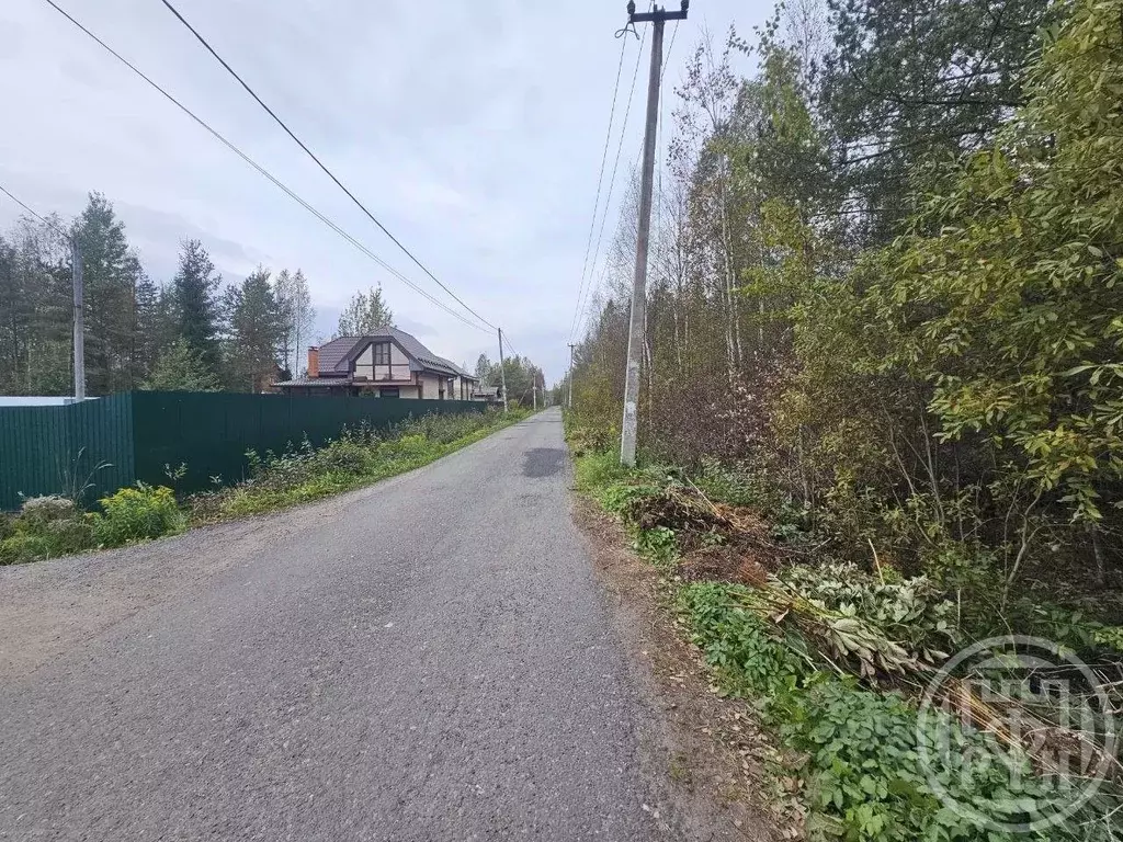 Участок в Ленинградская область, Всеволожский район, Морозовское ... - Фото 2