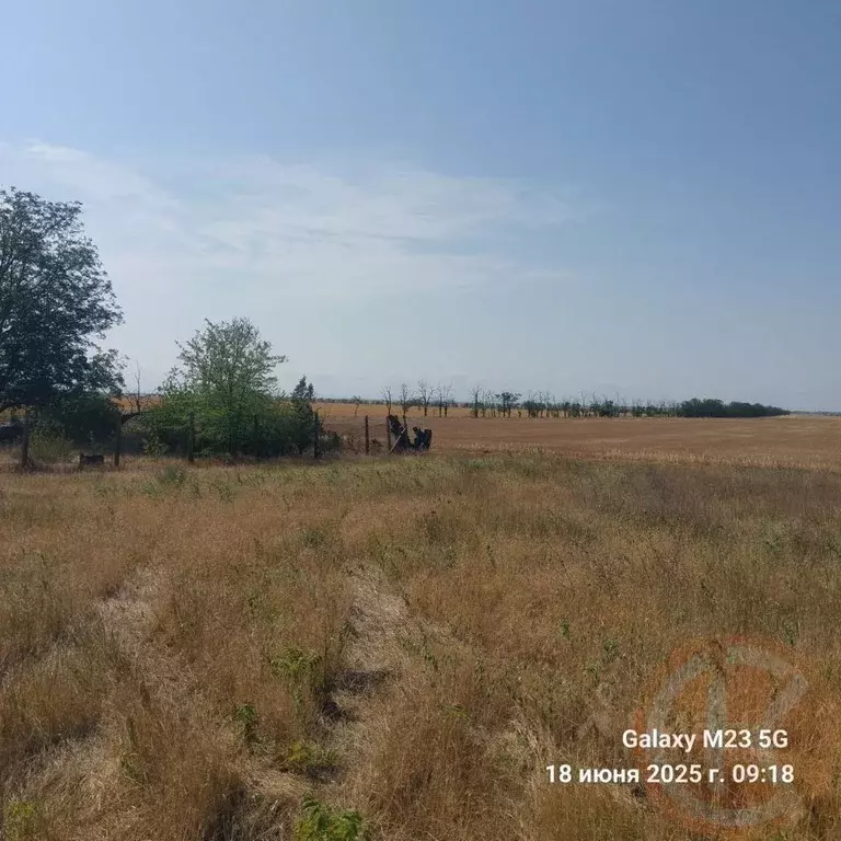 Участок в Крым, Черноморский район, с. Новоивановка  (6.24 сот.) - Фото 1