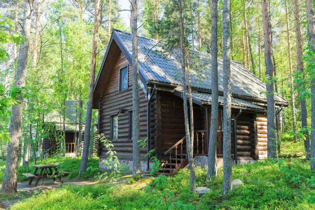 Дом в Ленинградская область, Приозерский район, Ларионовское с/пос, ... - Фото 0