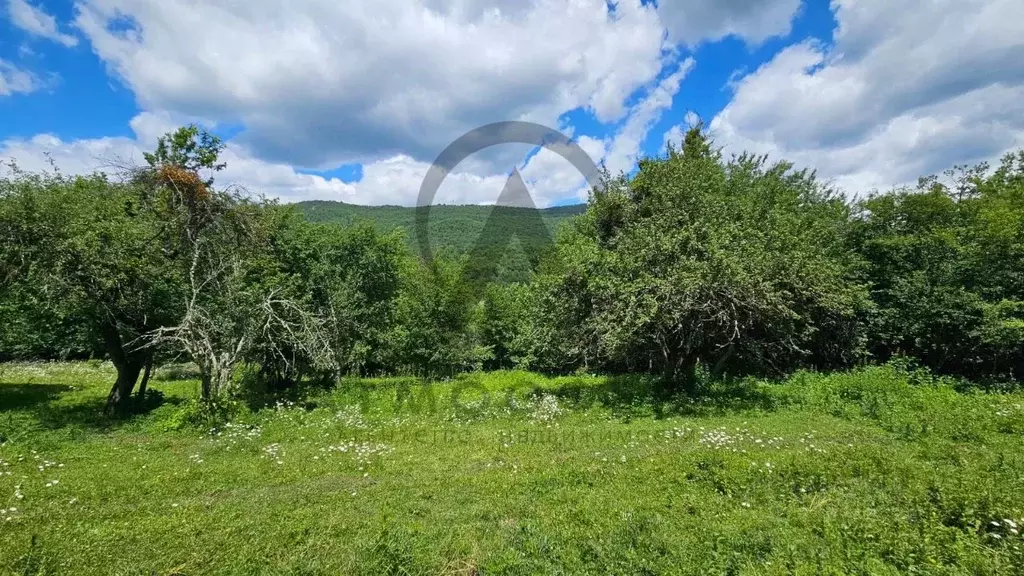 Участок в Краснодарский край, Апшеронский район, Мезмайское с/пос, ... - Фото 2