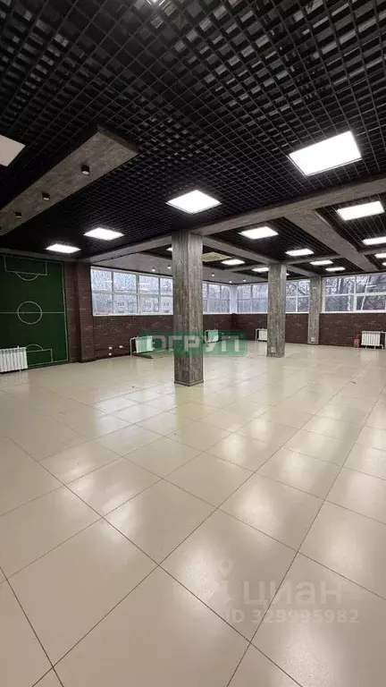 Офис в Пензенская область, Пенза ул. Аустрина, 40 (277 м) - Фото 2