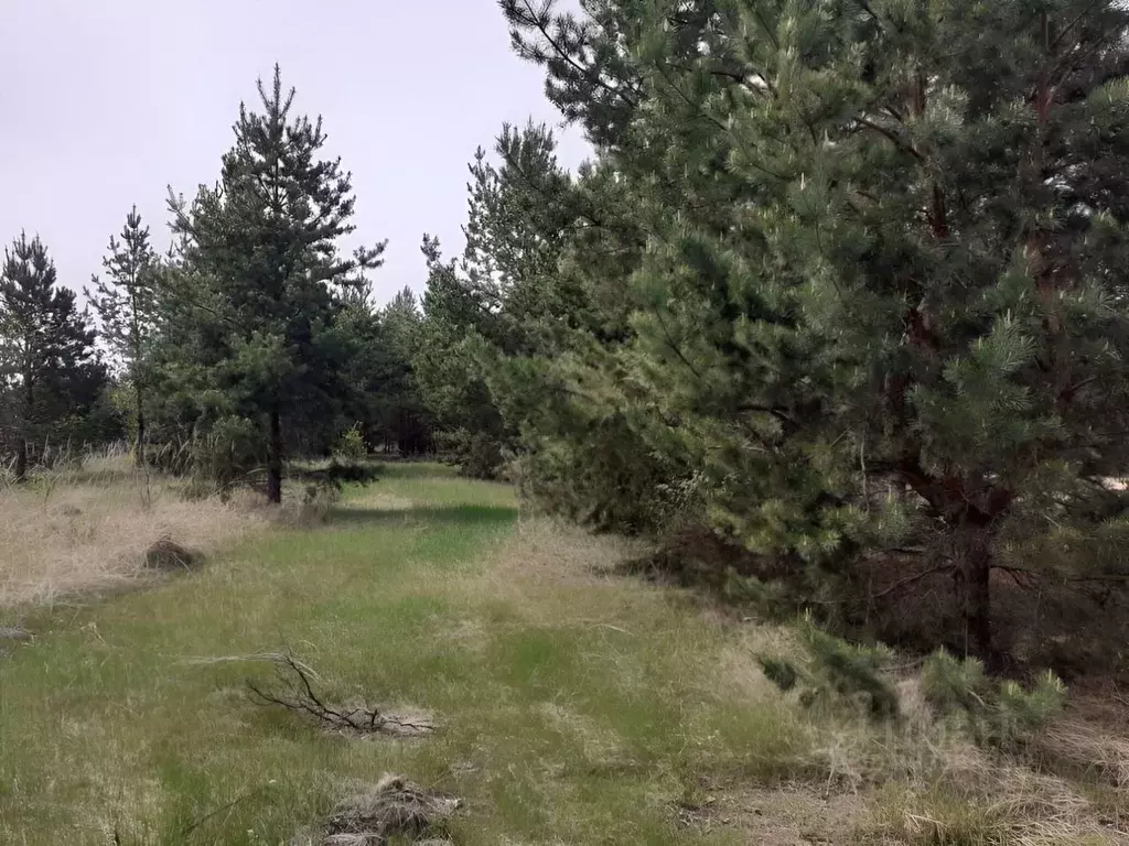 Участок в Самарская область, Красноярский район, Светлое Поле с/пос, ... - Фото 1