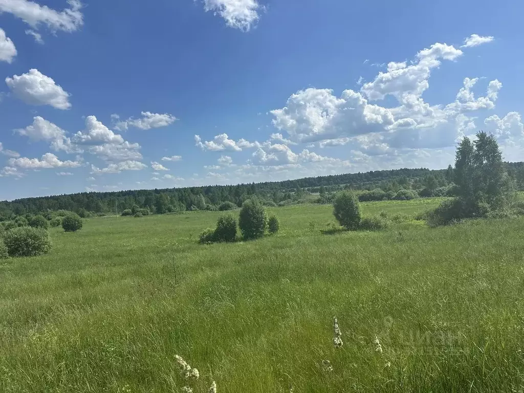 Участок в Московская область, Рузский муниципальный округ, д. ... - Фото 1