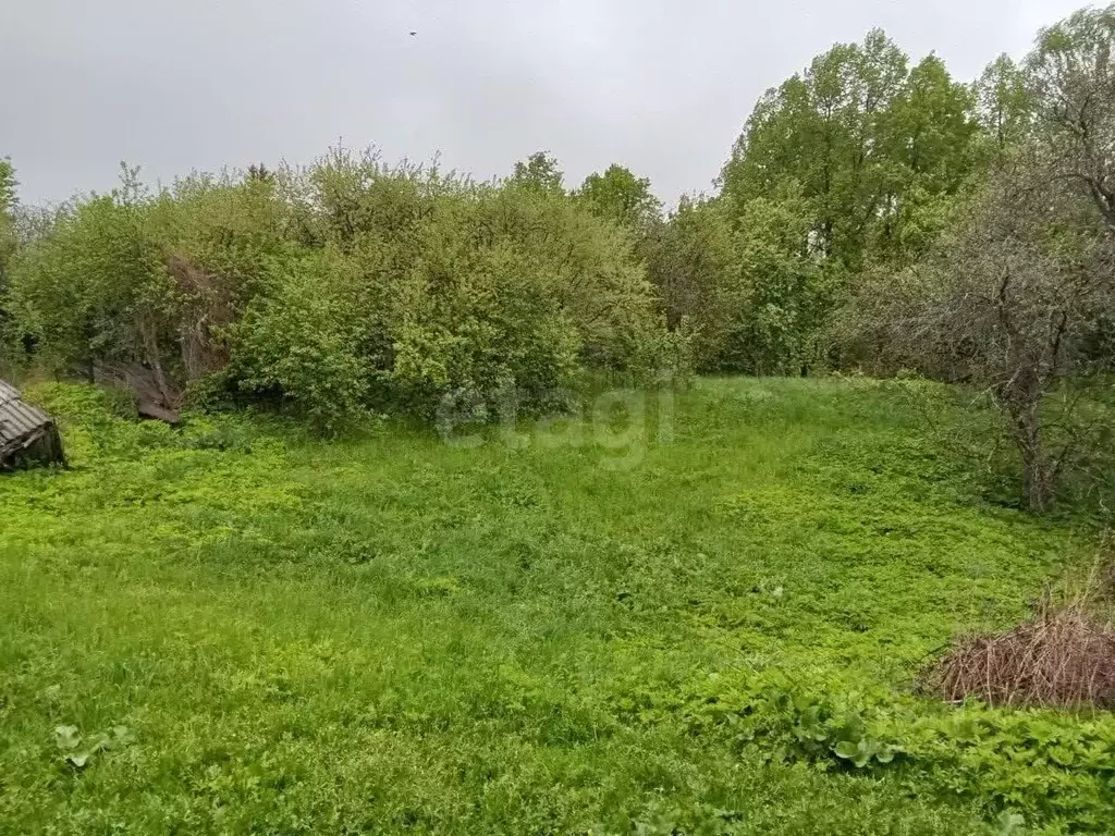 Участок в Чувашия, Чебоксары городской округ, д. Чандрово ул. ... - Фото 1