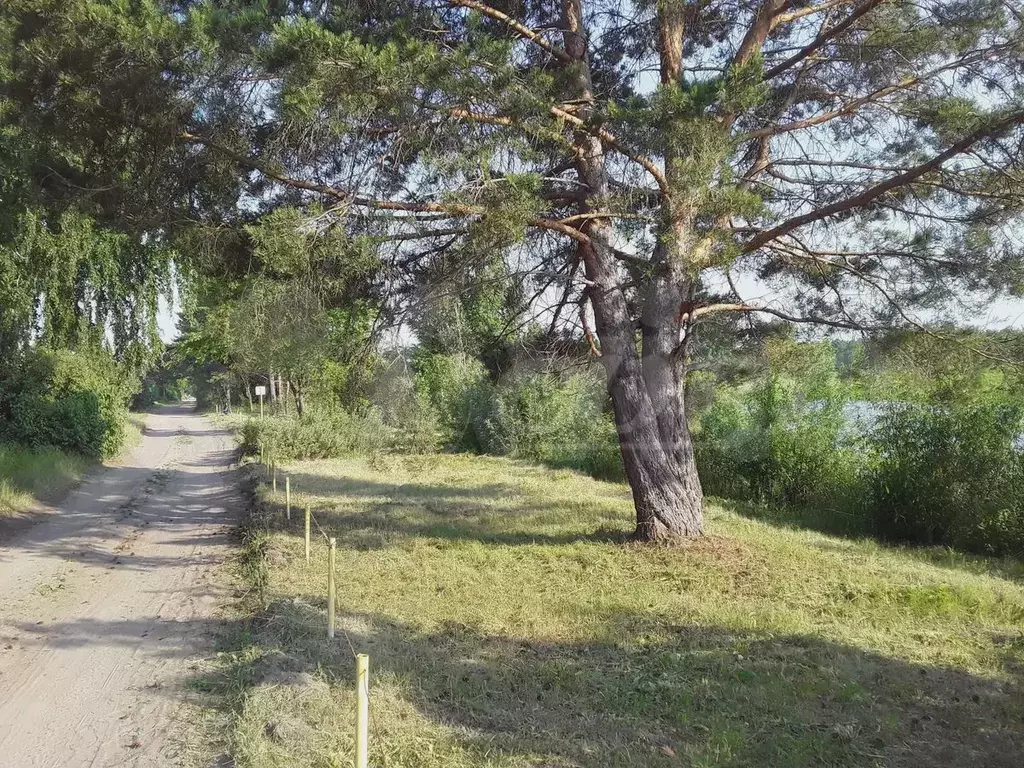 Дача 37 м на участке 8,3 сот. - Фото 1