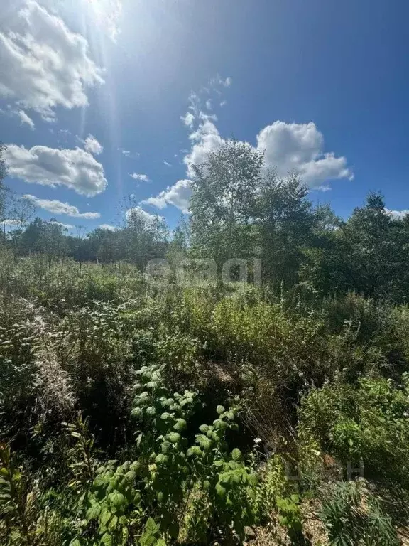 Участок в Сахалинская область, Южно-Сахалинск Целина СНТ,  (10.0 сот.) - Фото 0