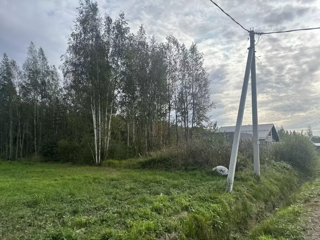 Участок в Ленинградская область, Всеволожский район, Рахьинское ... - Фото 2