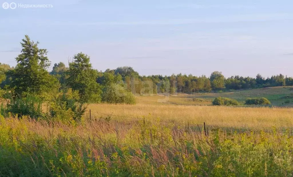 Участок в Нижегородская область, муниципальный округ Бор, деревня ... - Фото 1