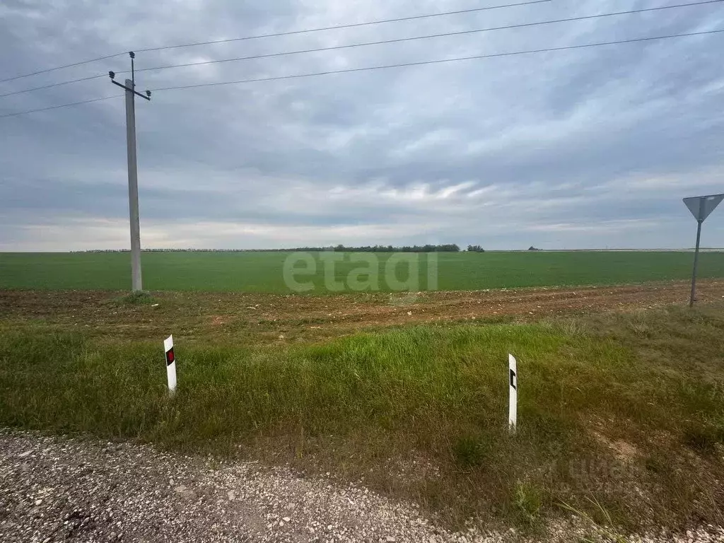 Участок в Крым, Черноморский район, Окуневское с/пос, Лот № 114 тер.  ... - Фото 0