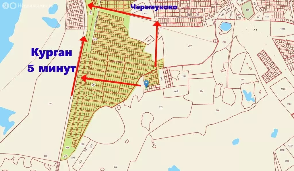 Участок в Курганская область, Кетовский муниципальный округ, НДПК ... - Фото 2