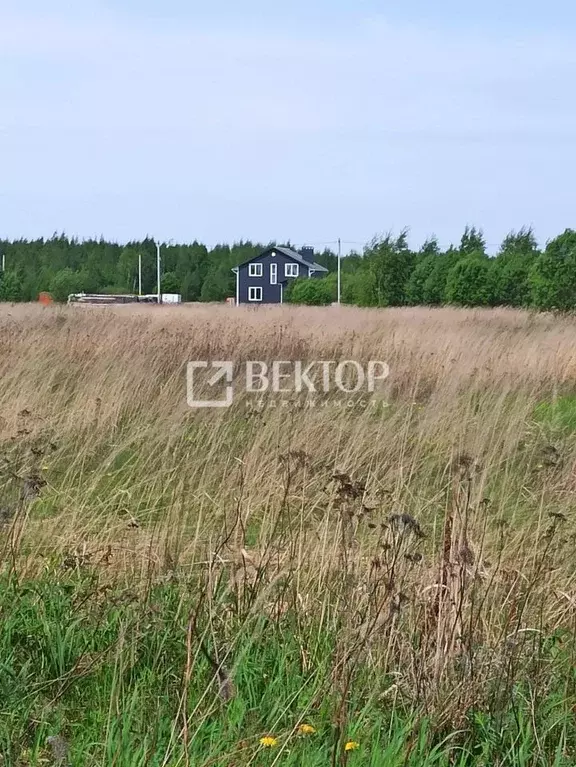 Участок в Костромская область, Кострома Соколиное Гнездо кп, 1 (7.0 ... - Фото 0