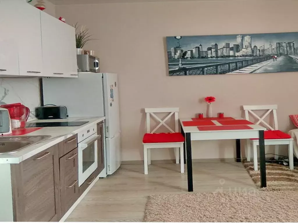 Студия Санкт-Петербург Парашютная ул., 36к1 (30.0 м) - Фото 2