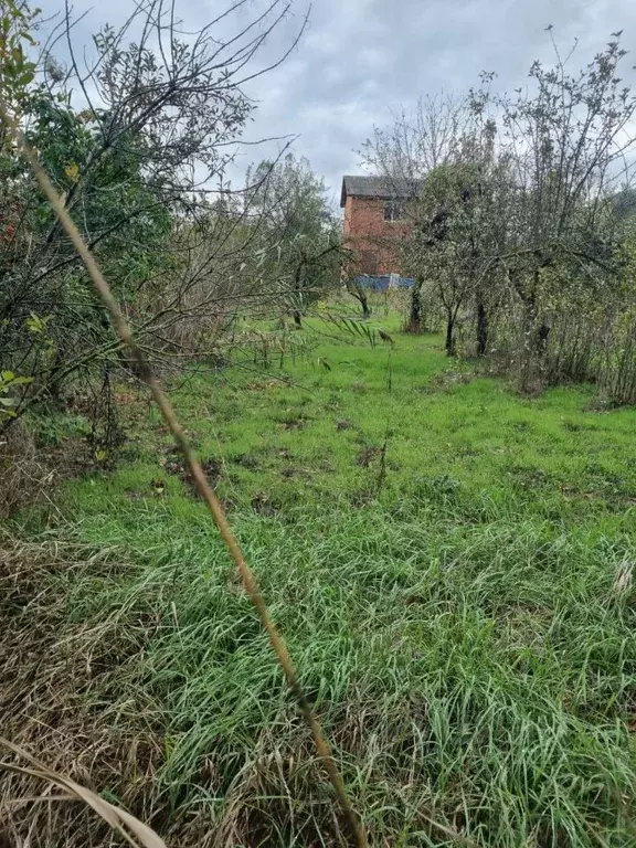 Участок в Адыгея, Тахтамукайский район, Старобжегокайское с/пос, Новая ... - Фото 1