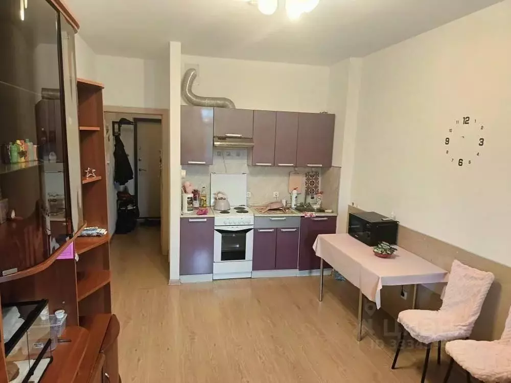 Студия Санкт-Петербург ул. Адмирала Черокова, 20 (24.0 м) - Фото 1