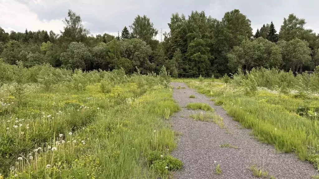 Участок в Московская область, Рузский муниципальный округ, д. Петряиха ... - Фото 2