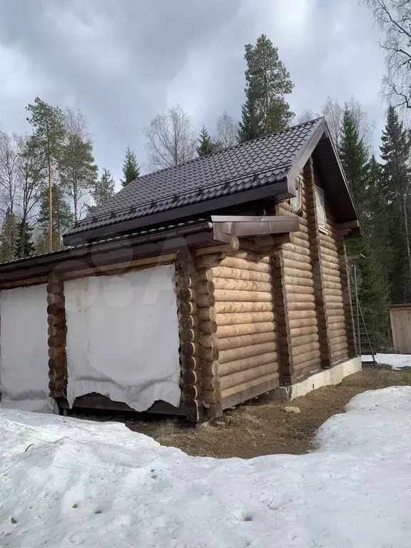 Участок 10 сот. (СНТ, ДНП) - Фото 0