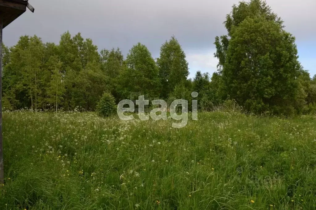 Участок в Вологодская область, Шекснинский муниципальный округ, д. ... - Фото 1