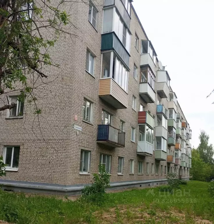 1-к кв. Московская область, Пересвет Сергиево-Посадский район, ул. ... - Фото 1