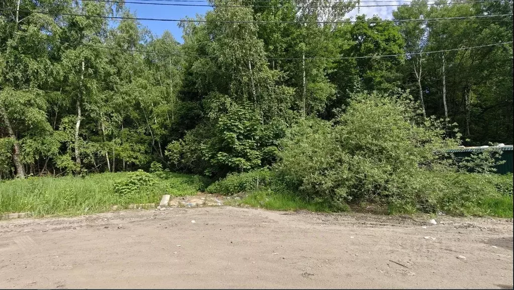 Участок в Московская область, Ленинский городской округ, д. ... - Фото 1