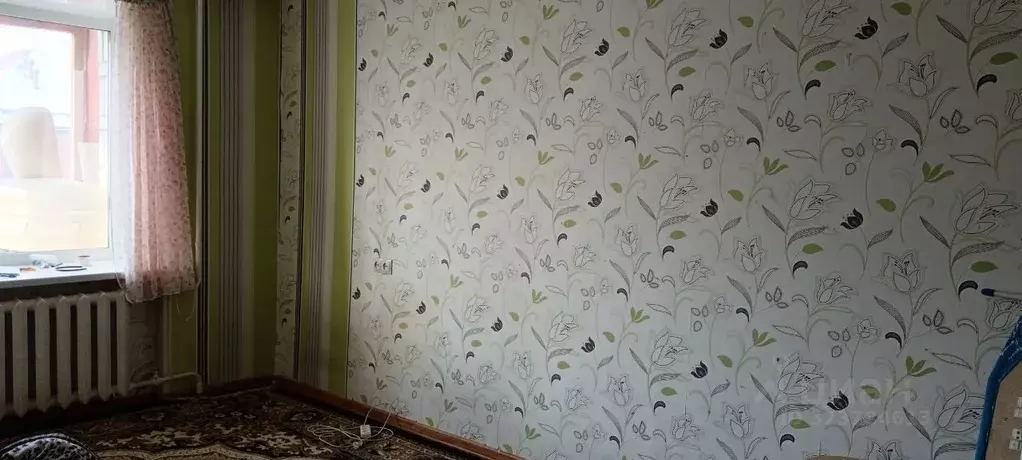 1-к кв. Новосибирская область, Новосибирск Телевизионная ул., 13а ... - Фото 1