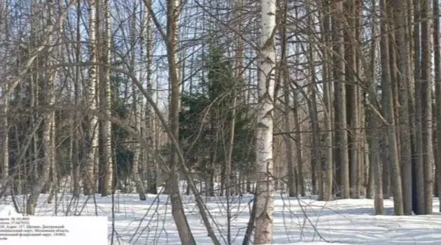 Участок в Московская область, Дмитровский муниципальный округ, д. ... - Фото 1