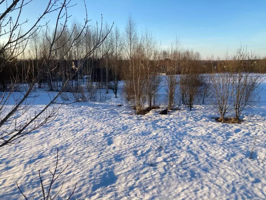 Участок в Костромская область, Шарья городской округ, д. Корегино  ... - Фото 1