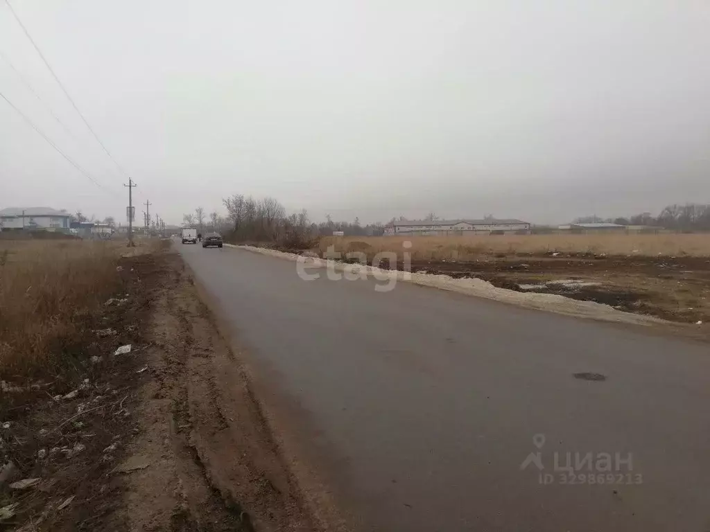Участок в Курская область, Курский район, Новопоселеновский сельсовет, ... - Фото 2
