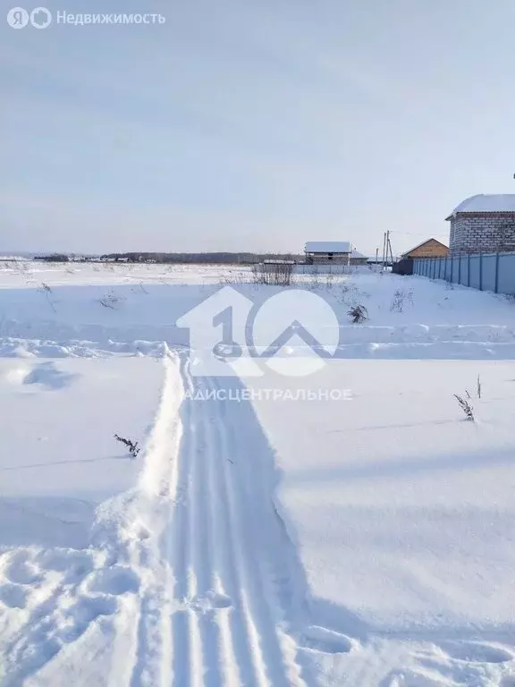 Участок в Искитимский район, Мичуринский сельсовет, садовое ... - Фото 1