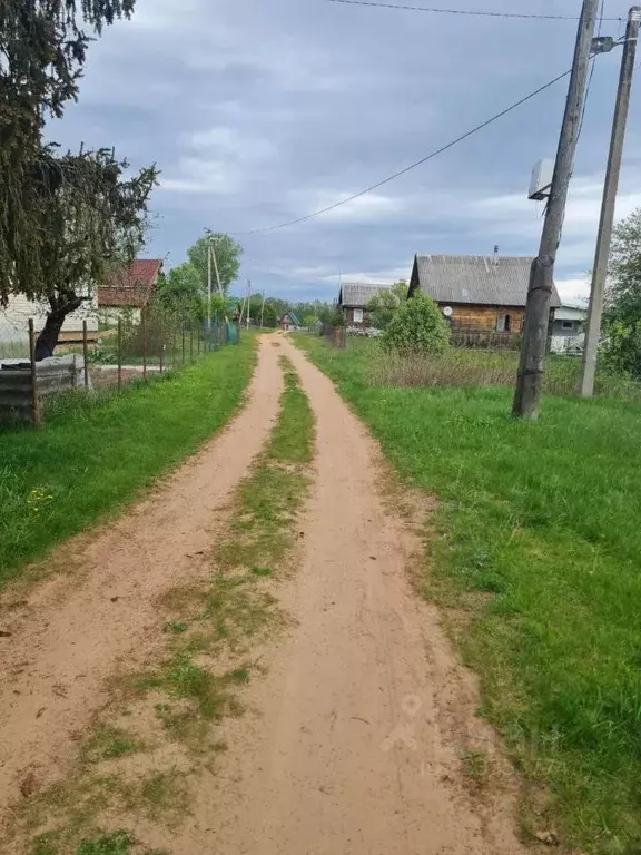 Участок в Новгородская область, Крестецкий муниципальный округ, д. ... - Фото 2