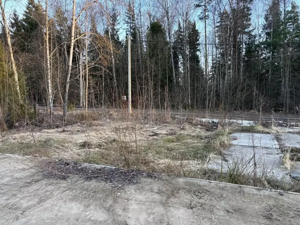 Участок в Московская область, Одинцовский городской округ, Топаз ДНТ ... - Фото 1